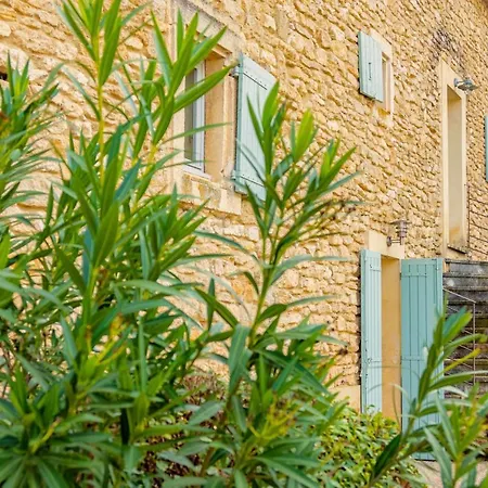 Villa Mas Des Cedres Ménerbes Exterior foto