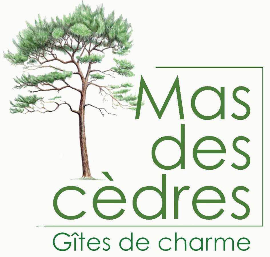 Mas Des Cedres Holiday home Menerbes
